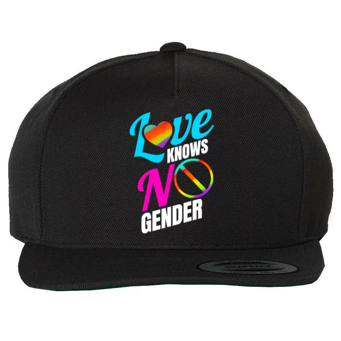 Lgbtq Love Knows No Gender Pride Month Gift Wool Snapback Cap