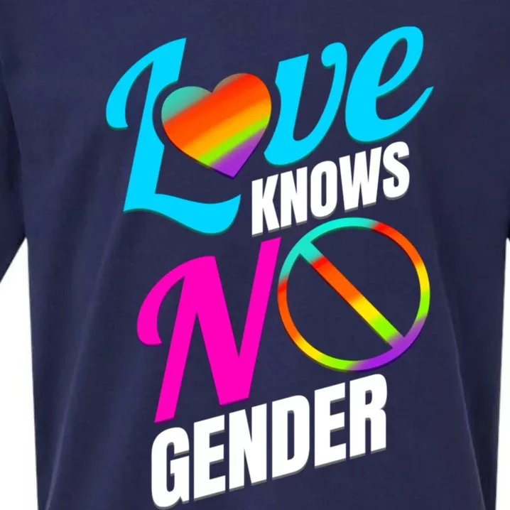 Lgbtq Love Knows No Gender Pride Month Gift Sueded Cloud Jersey T-Shirt