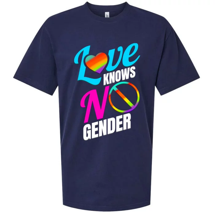 Lgbtq Love Knows No Gender Pride Month Gift Sueded Cloud Jersey T-Shirt