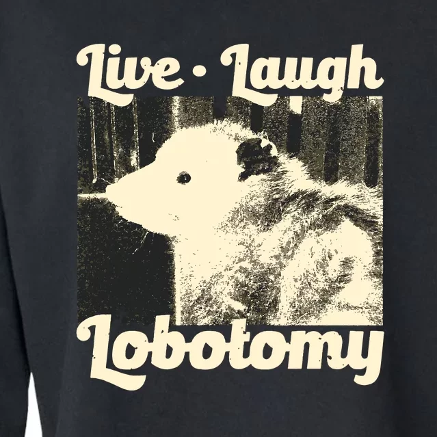 Live Laugh Lobotomy Funny Opossum Cropped Pullover Crew