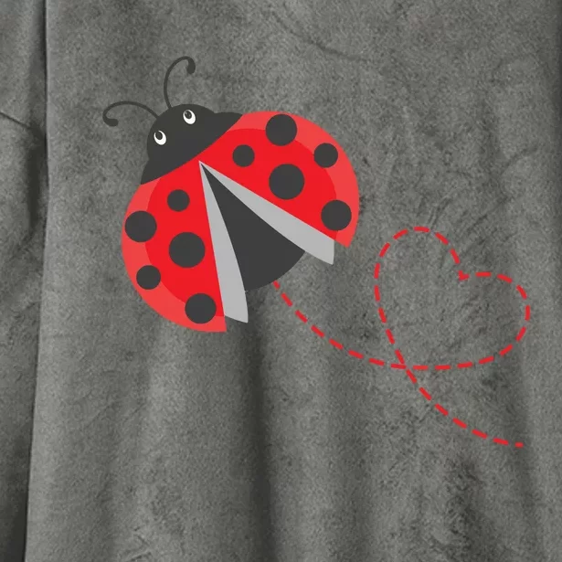 Ladybeetle Ladybugs Nature Lover Insect Fans Entomophile Hooded Wearable Blanket