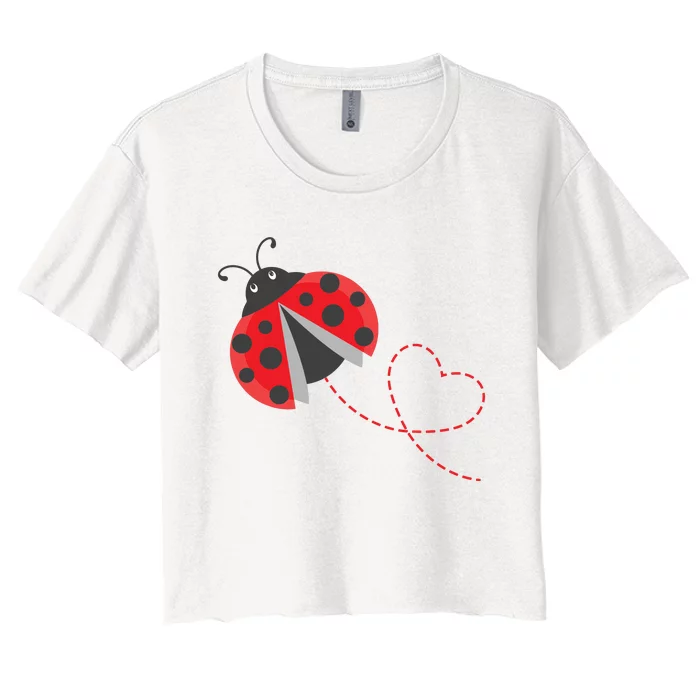 Ladybeetle Ladybugs Nature Lover Insect Fans Entomophile Women's Crop Top Tee