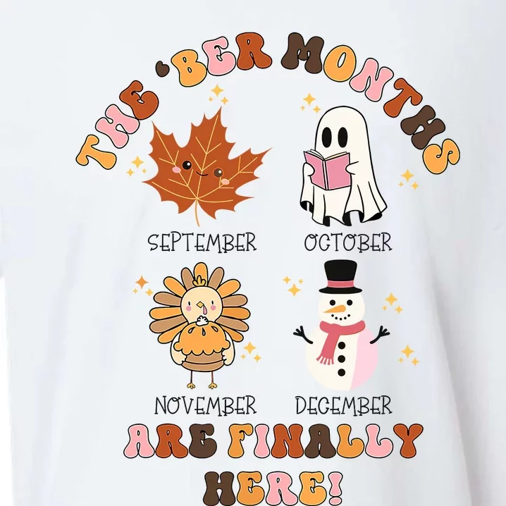 Last Months Are Final Here Sueded Cloud Jersey T-Shirt