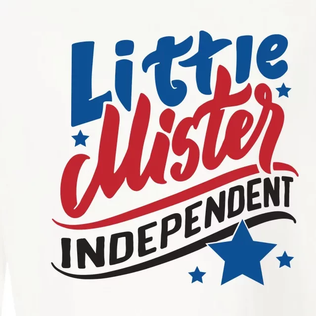 Little Mister Independent 4th Of July Cropped Pullover Crew