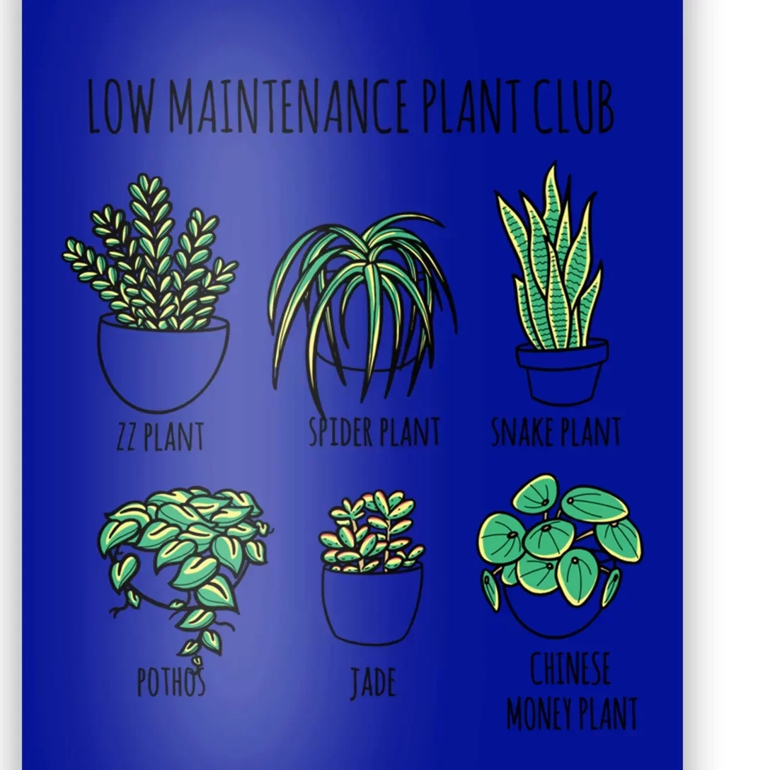 Low Maintenance Plants Club Natural Houseplant Airpurifying Gift Poster