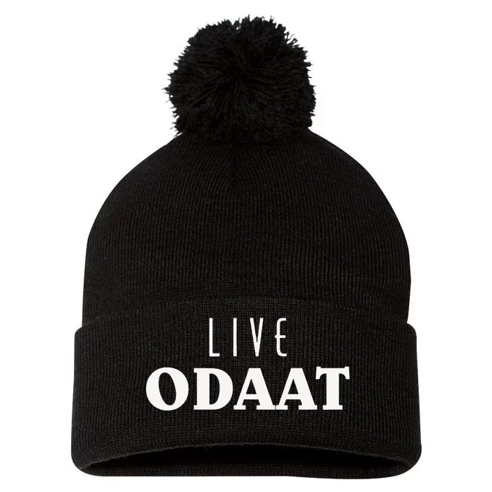 LIVE ODAAT Alcoholics AA Narcotics NA Anonymous Recovery Pom Pom 12in Knit Beanie