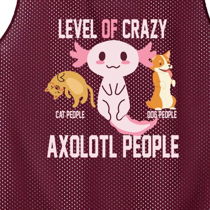 Level Of Crazy Axolotl People Mesh Reversible Basketball Jersey Tank