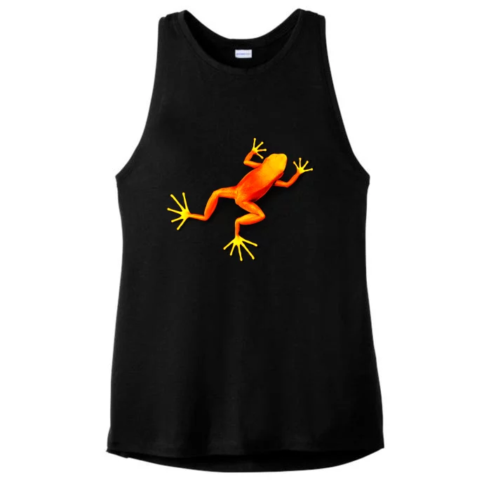 Little Orange Frog Ladies Tri-Blend Wicking Tank