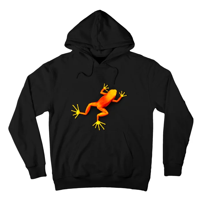 Little Orange Frog Hoodie