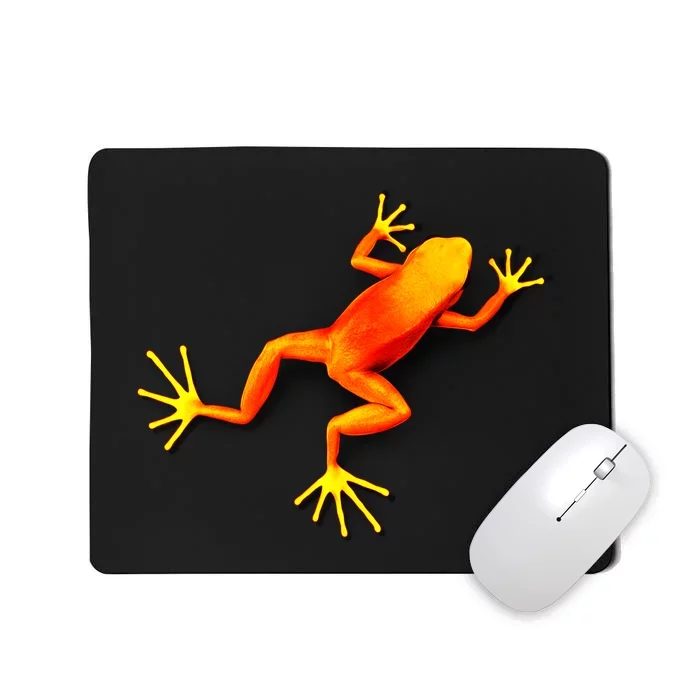 Little Orange Frog Mousepad