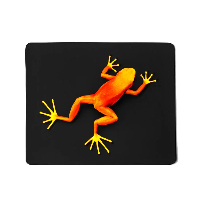 Little Orange Frog Mousepad