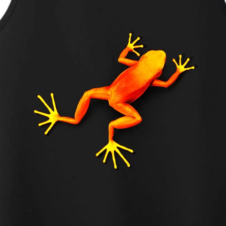 Little Orange Frog Performance Tank