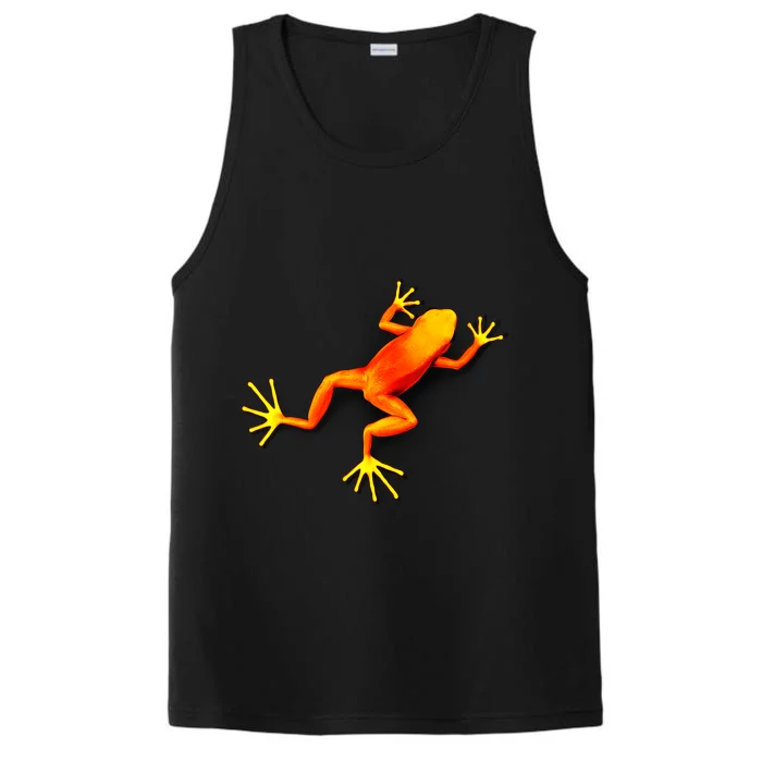 Little Orange Frog Performance Tank