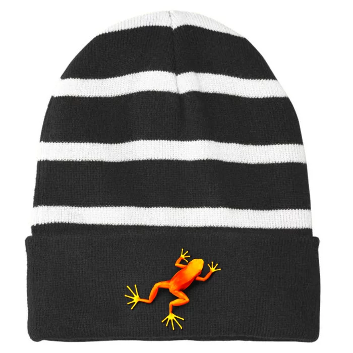 Little Orange Frog Striped Beanie with Solid Band