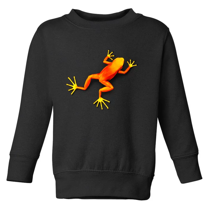 Little Orange Frog Toddler Sweatshirt