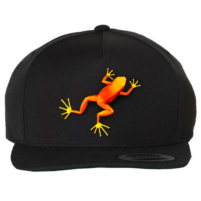 Little Orange Frog Wool Snapback Cap