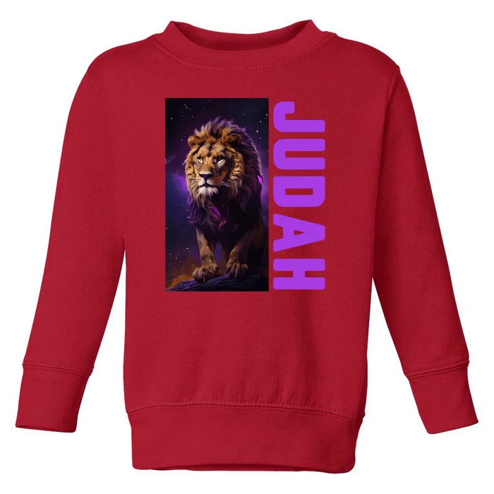 Lion Of Judah Messianic Hebrew Roots Torah Observant Toddler Sweatshirt