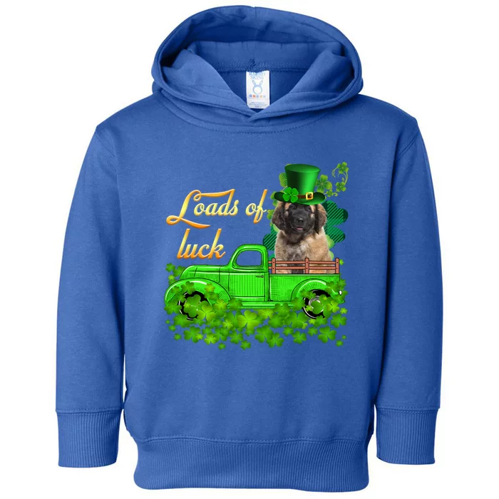 Loads Of Luck Truck Leonberger St Patrick's Day Gift Toddler Hoodie