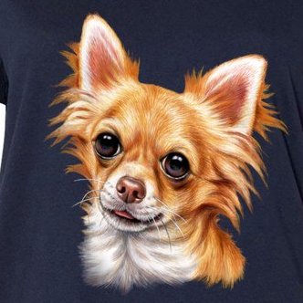 Long Haired Chihuahua Women's V-Neck Plus Size T-Shirt