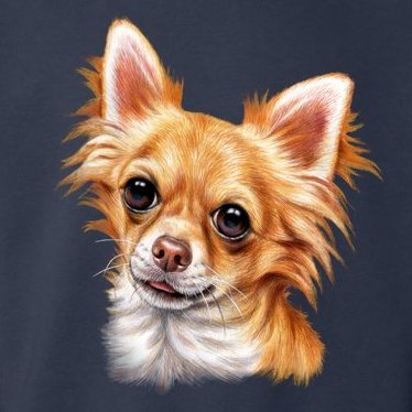 Long Haired Chihuahua Toddler Hoodie