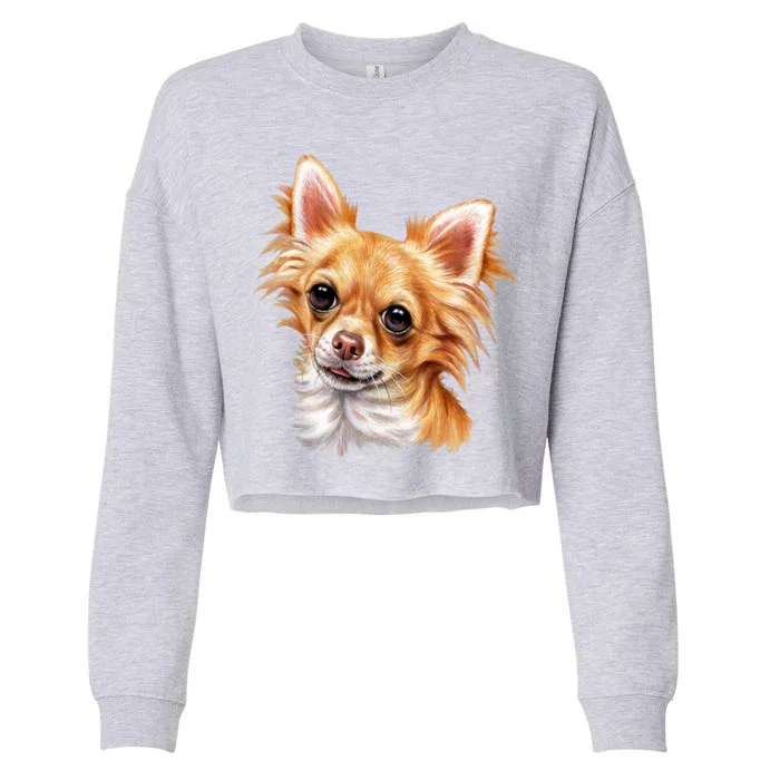 Long Haired Chihuahua Cropped Pullover Crew