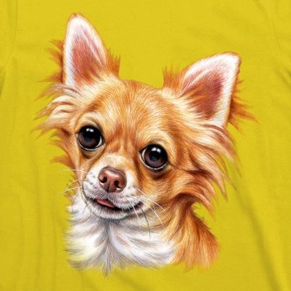 Long Haired Chihuahua T-Shirt