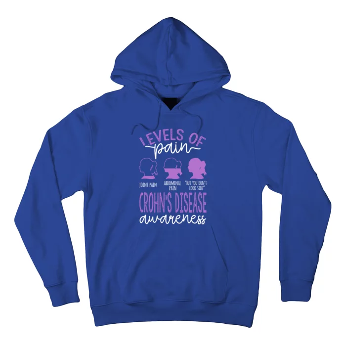 Levels Of Pain Crohns Disease Awareness Gift Hoodie