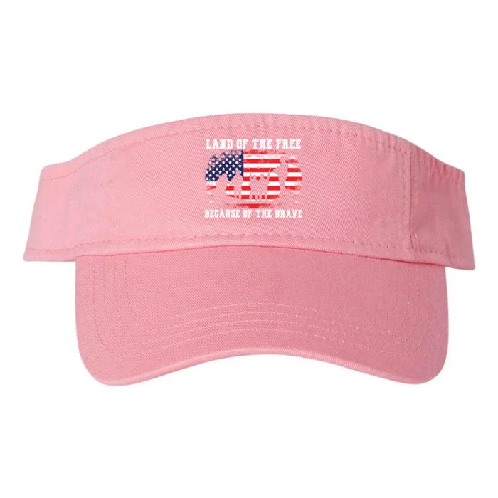 Land Of The Free Because Of The Brave American Flag Cool Gift Valucap Bio-Washed Visor