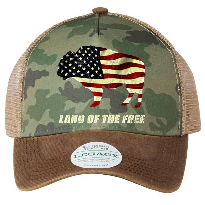 Land Of The Free Bison American Flag Cool Distressed Meaningful Gift Legacy Tie Dye Trucker Hat