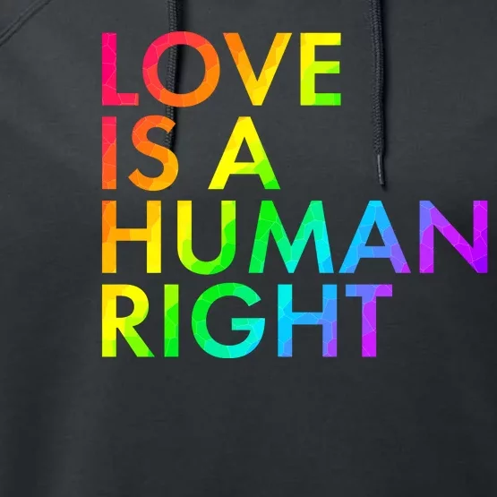 Love Is A Human Right Rainbow Performance Fleece Hoodie