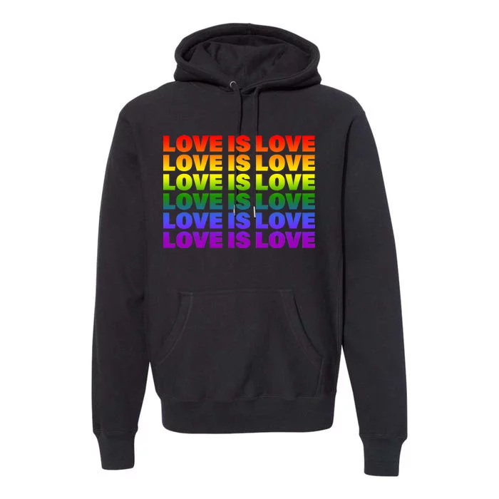 Love Is Love LGBTQ Rainbow Premium Hoodie