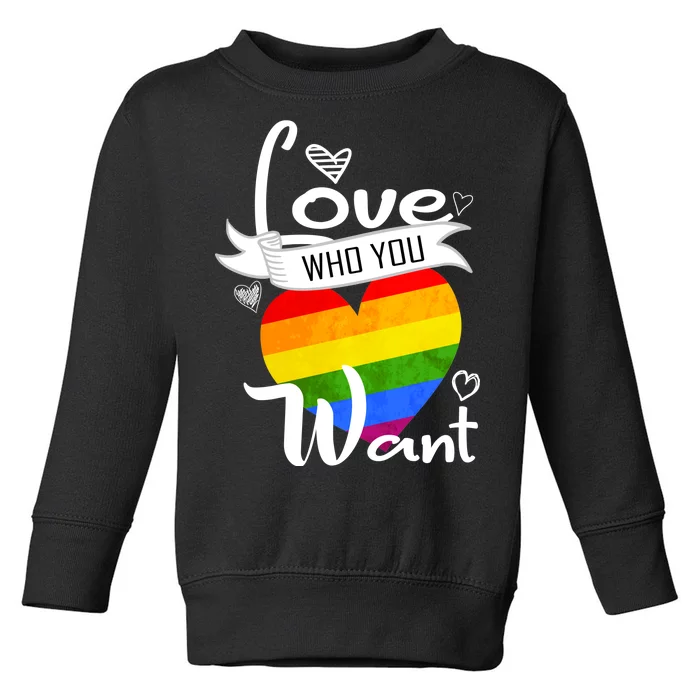 Love Who You Want Toddler Sweatshirt