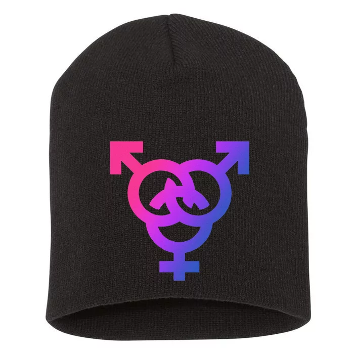 LGBT Pride Bisexual Symbol LGBTQ Equal Lover Human Support Short Acrylic Beanie