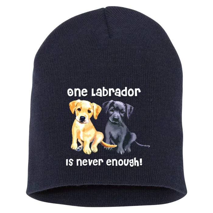 Labrador Pet Dog Funny T Gift Black Golden Yellow Lab Short Acrylic Beanie