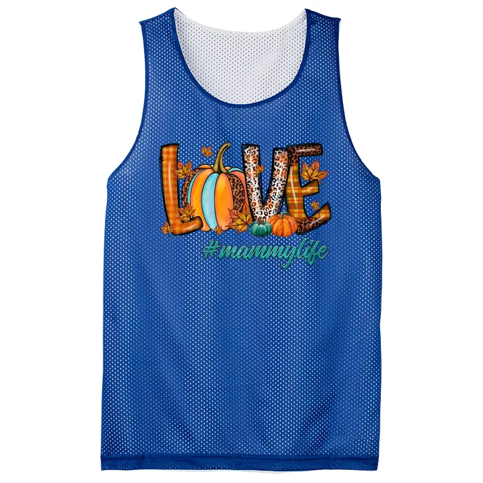 Leopard Pumpkin Love Mammy Cool Gift Halloween Pumpkin Gift Mesh Reversible Basketball Jersey Tank