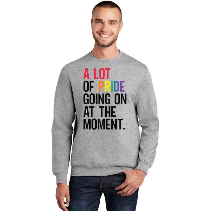 Lgbt Pride Month Funny A Lot Of Pride Going On At Moment Tall Sweatshirt