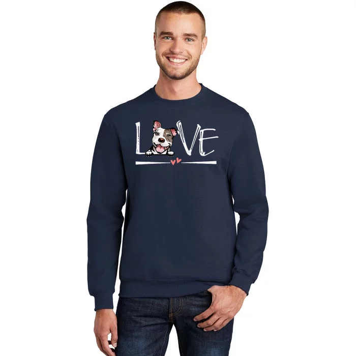 Love Pitbull Valentines Day Funny Pitbull Dog Owner Tall Sweatshirt