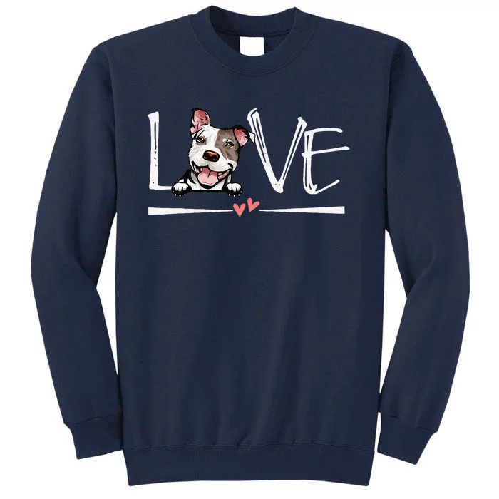 Love Pitbull Valentines Day Funny Pitbull Dog Owner Tall Sweatshirt