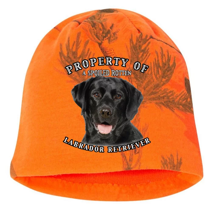 Labrador Retriever 1 Black Property Of Cute Dog Kati - Camo Knit Beanie