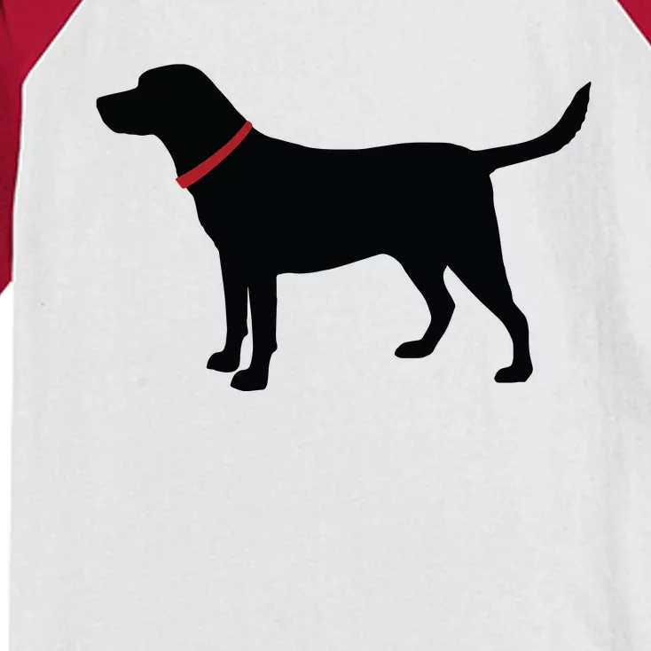 Labrador Retriever Black Kids Colorblock Raglan Jersey