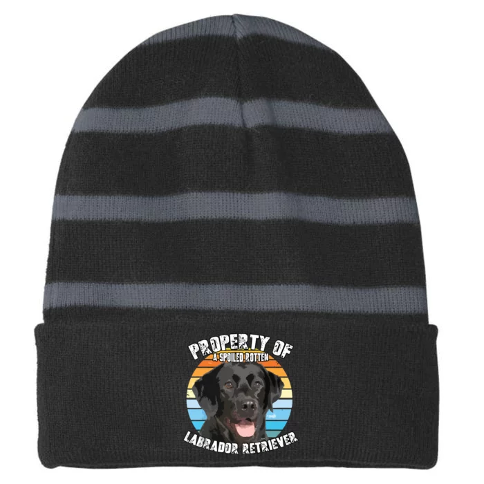 Labrador Retriever Black Owner Lover Retro Vintage Striped Beanie with Solid Band