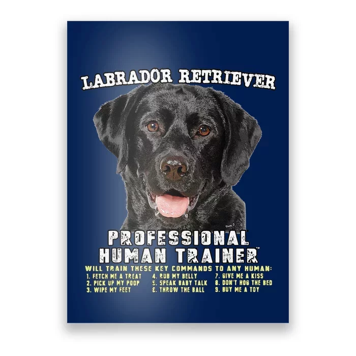 Labrador Retriever Black Lab Professional Human Trainer Cute Dog Poster