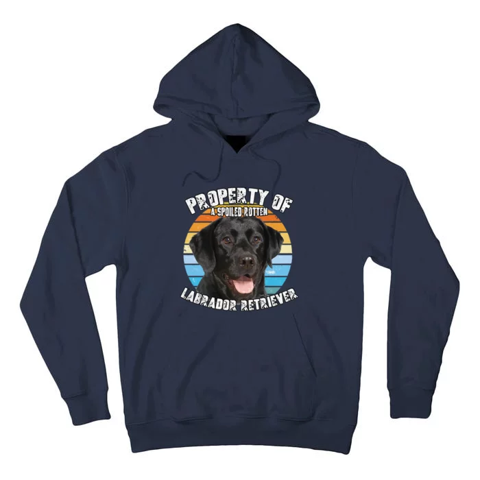 Labrador Retriever Black Owner Lover Retro Vintage Cute Dog Tall Hoodie