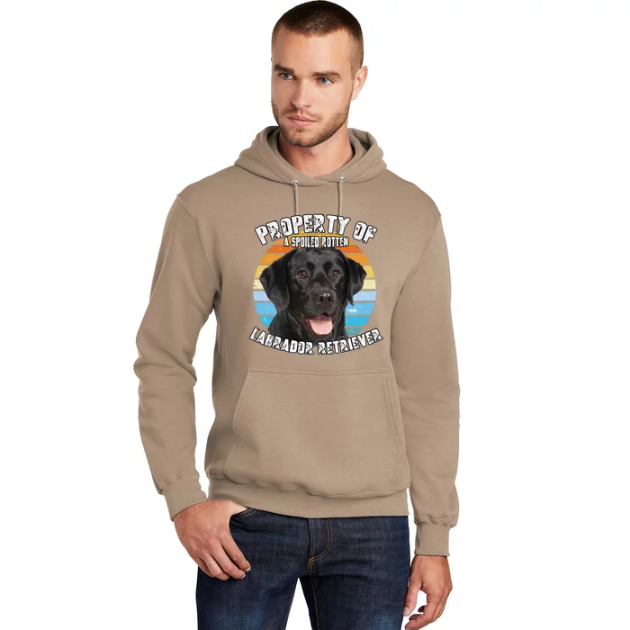 Labrador Retriever Black Owner Lover Retro Vintage Cute Dog Hoodie