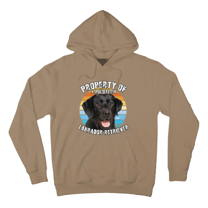 Labrador Retriever Black Owner Lover Retro Vintage Cute Dog Hoodie