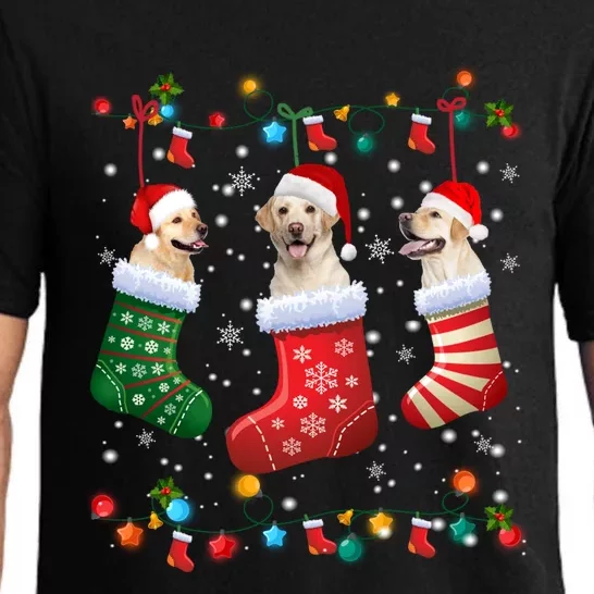 Labrador Retriever Christmas Socks Funny Xmas Dog Lover Cool Gift Pajama Set