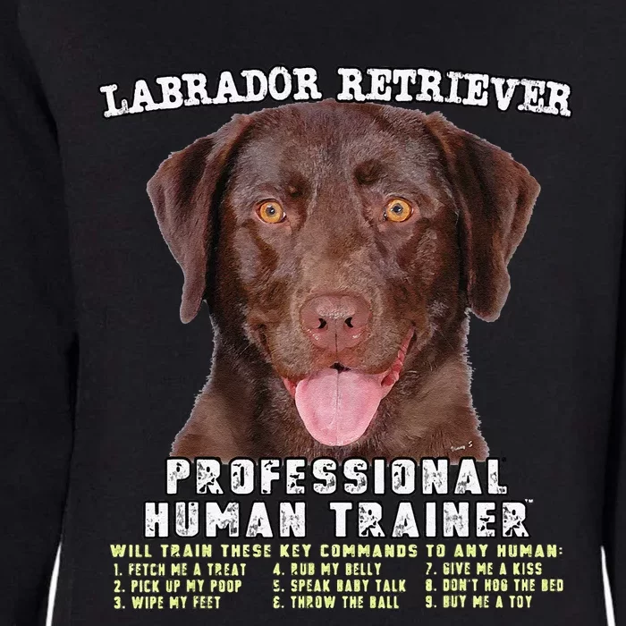 Labrador Retriever Chocolate Lab Professional Human Trainer Cute Dog Womens California Wash Sweatshirt