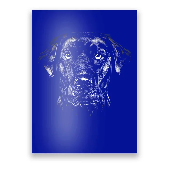 Labrador Retriever Dog Lovers Gift Poster