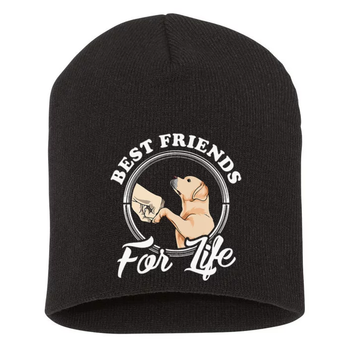 Labrador Retriever Design Funny Labrador Lovers Short Acrylic Beanie