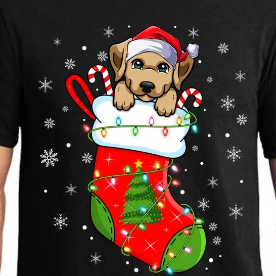 Labrador Retriever Dog In Christmas Socks Santa Xmas Meaningful Gift Pajama Set